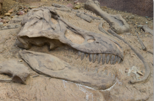 Grand Rapids Public Museum Presents Dinosaurs Unearthed - John Seville ...